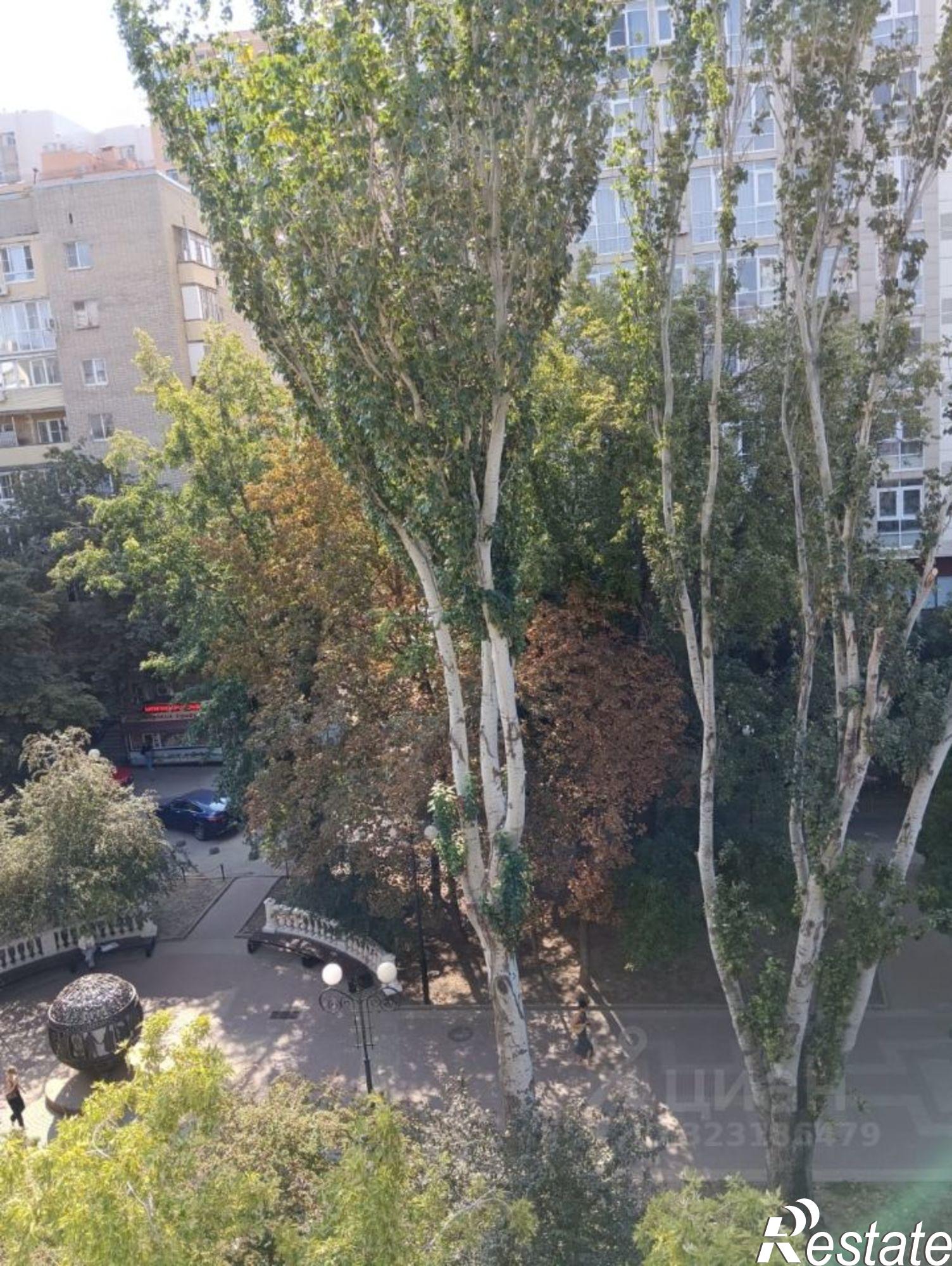 Купить квартиру за 8 000 000 рублей на ул Пушкинская, 179