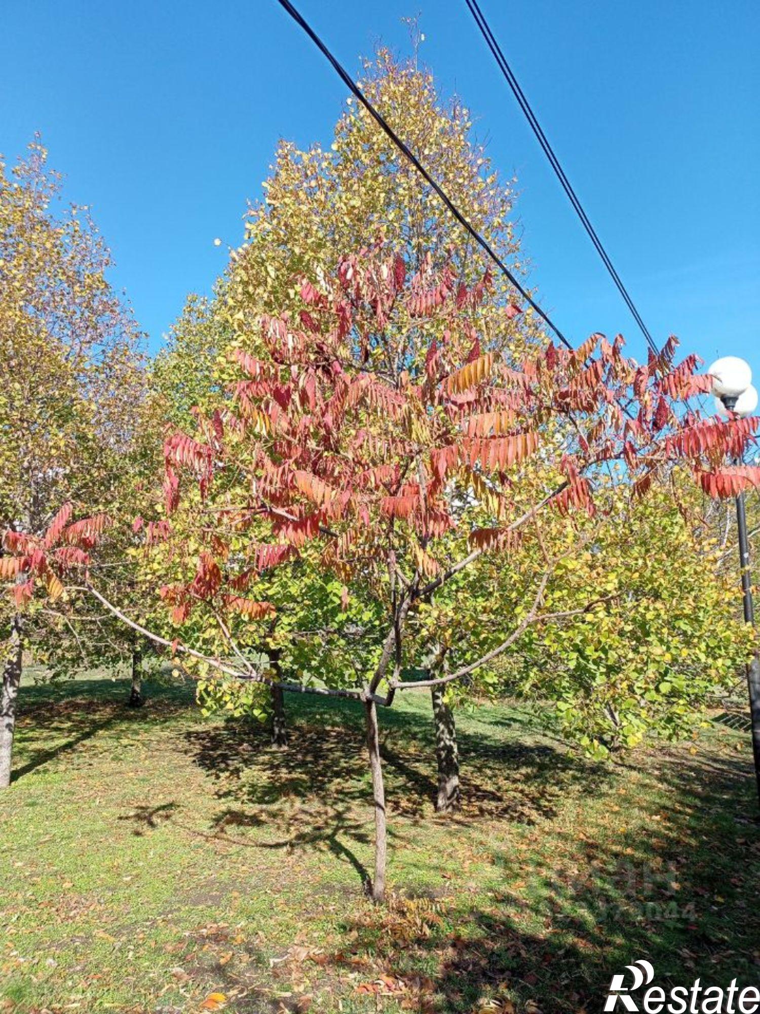 Купить квартиру за 4 100 000 рублей на улица Добровольского, 22 к2