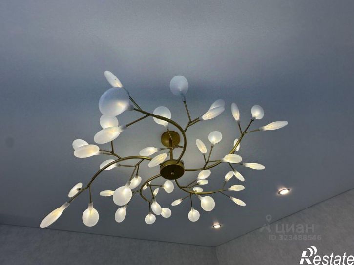 1-комн квартира пр-кт Соколова, 68,  д. 68