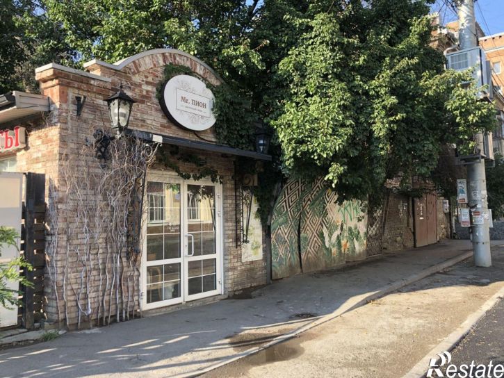 2-комн квартира Тургеневская улица, 33,  д. 33