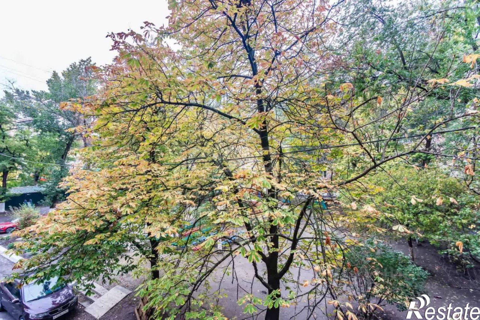 Купить квартиру за 8 624 000 рублей на Ворошиловский проспект, 50