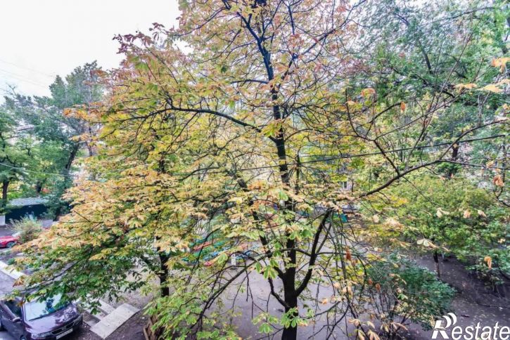 2-комн квартира Ворошиловский проспект, 50,  д. 50