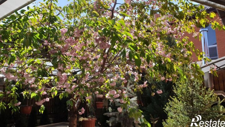 Коттедж/дом Новокубанский переулок, 29,  д. 29