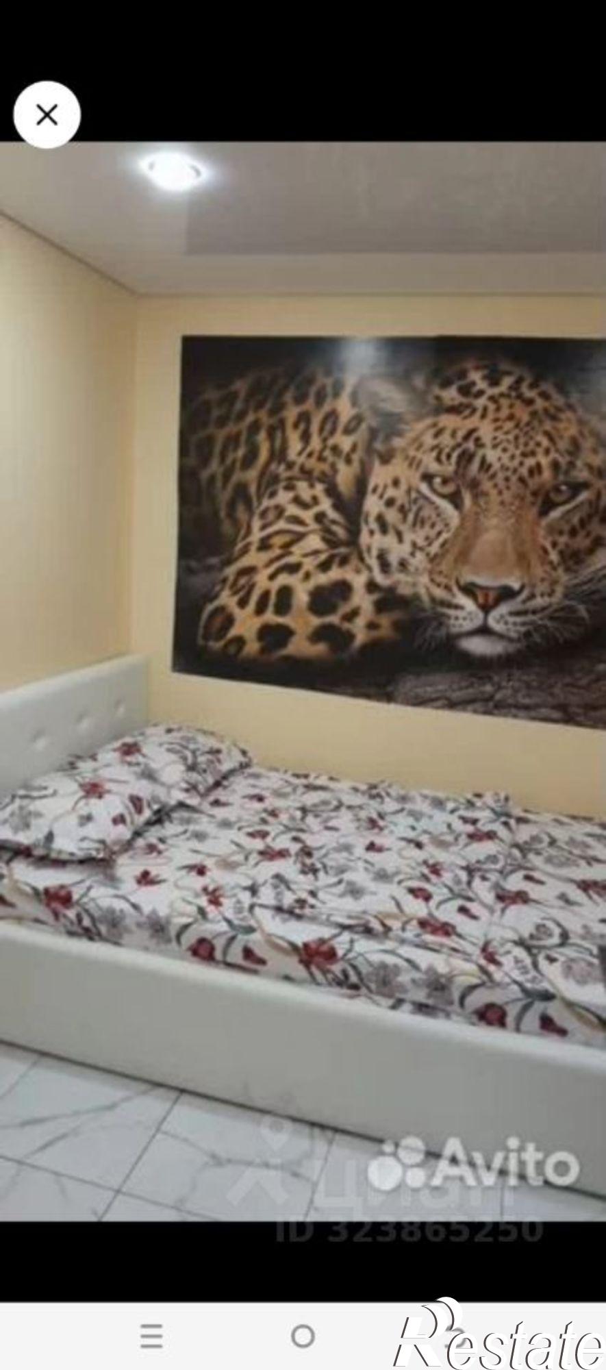 Сдать квартиру за 30 000 рублей на ул Социалистическая, 168