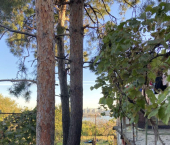 коттедж 100 кв м Крестьянский пер, 34