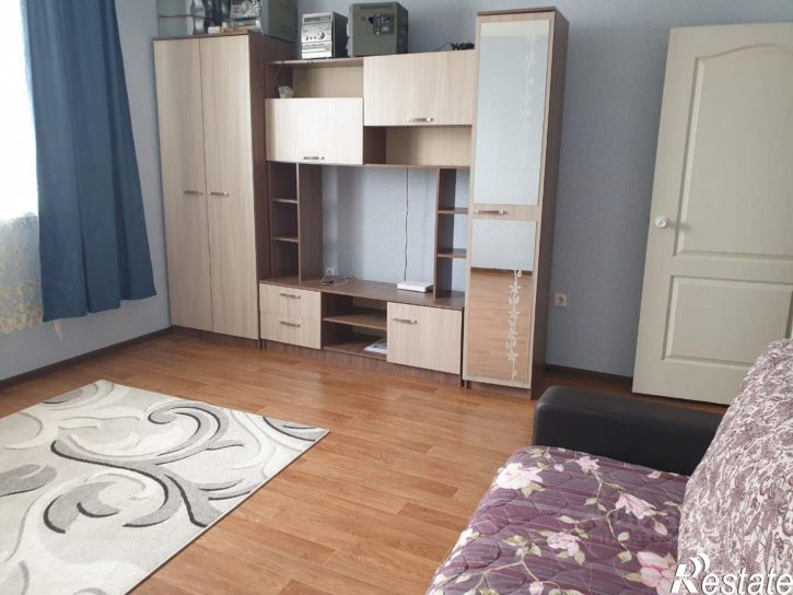 1-комн квартира ул Петренко, 24,  д. 24