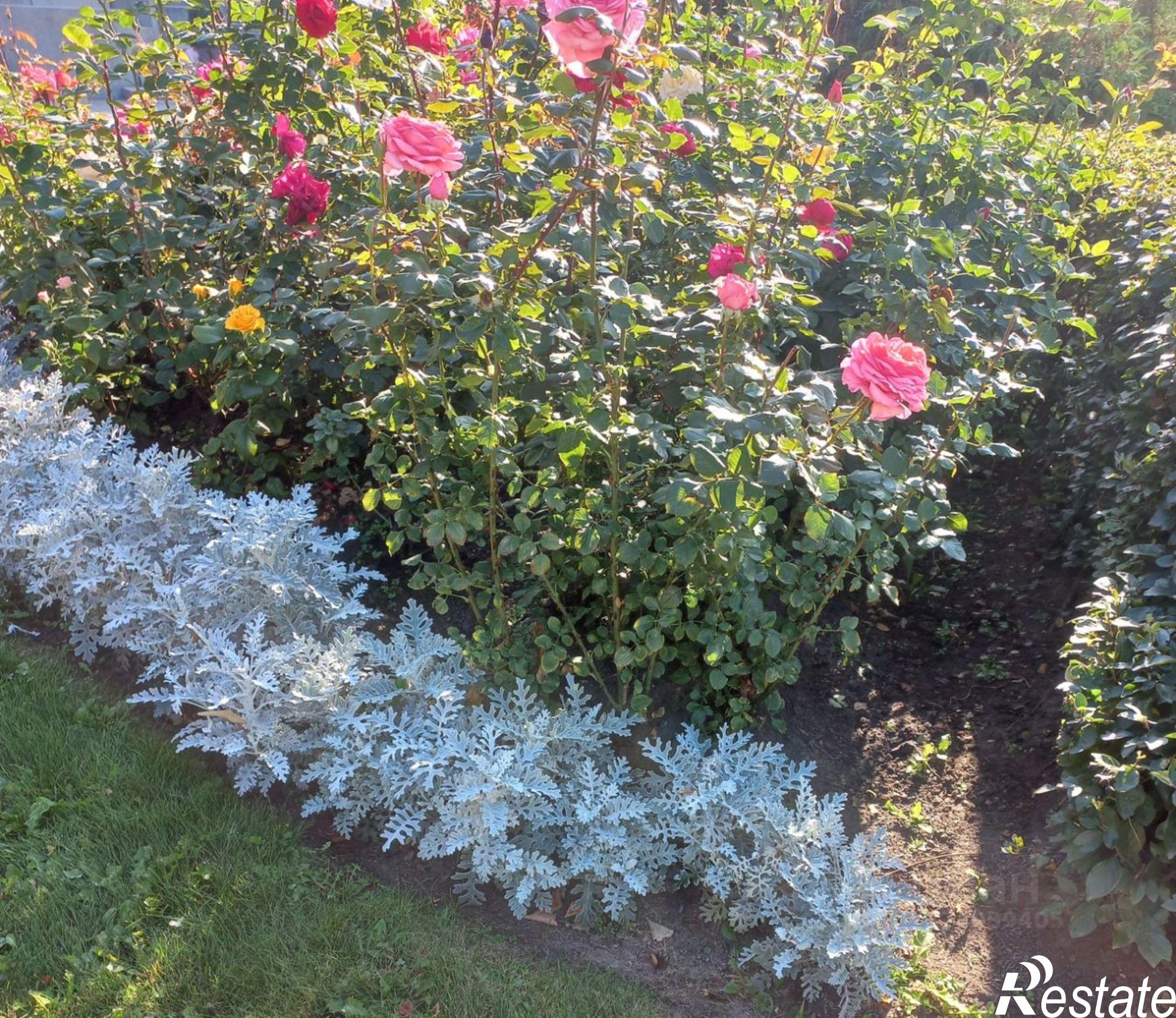 Купить комнату за 1 600 000 рублей на Абаканская улица, 20