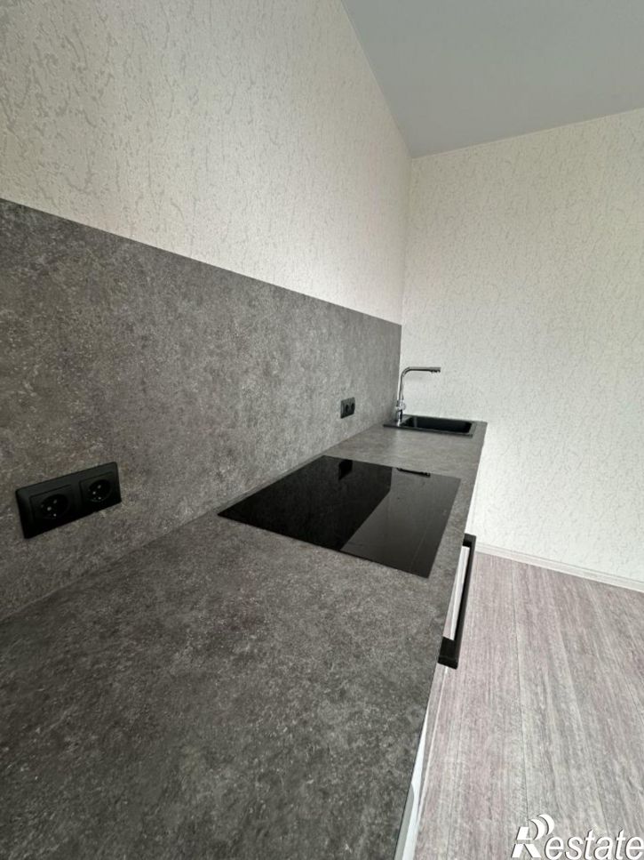 1-комн квартира улица Дмитрия Петрова, 10,  д. 10