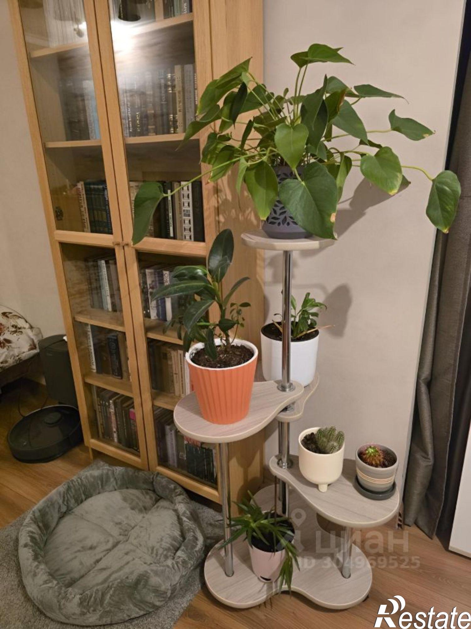 Сдать квартиру за 45 000 рублей на Крепостной переулок, 99