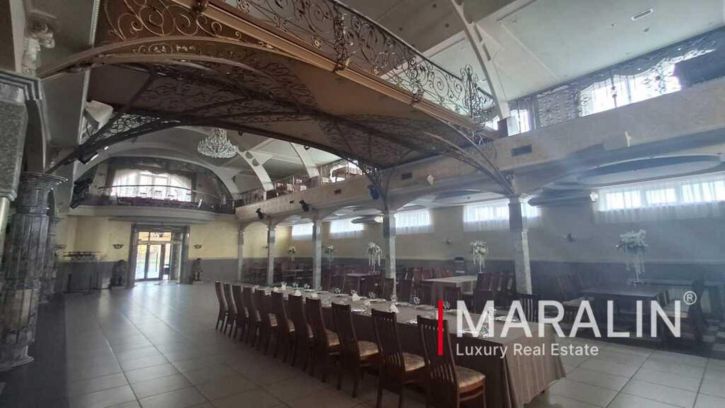 Помещение общепита Всесоюзная, 100