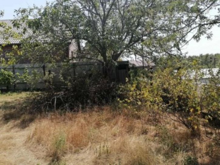 Земельный участок Плодовая