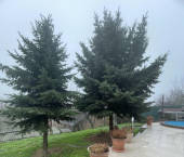 коттедж 350 кв м ул Павлодарская, 135