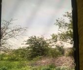 земля 12 сот 3-й Дамасский переулок