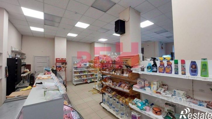 Торговое помещение Днепровский пер, 117,  д. 117