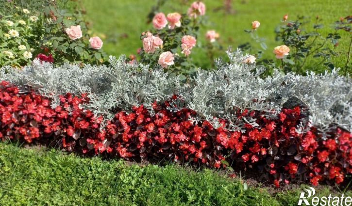 1-комн квартира улица Пескова, 1/5,  д. 1/5