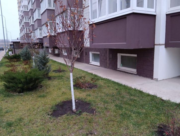 Студия Висаитова ул, 10/9