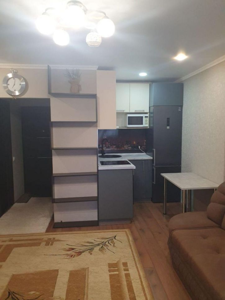 Студия Заводская ул, 35