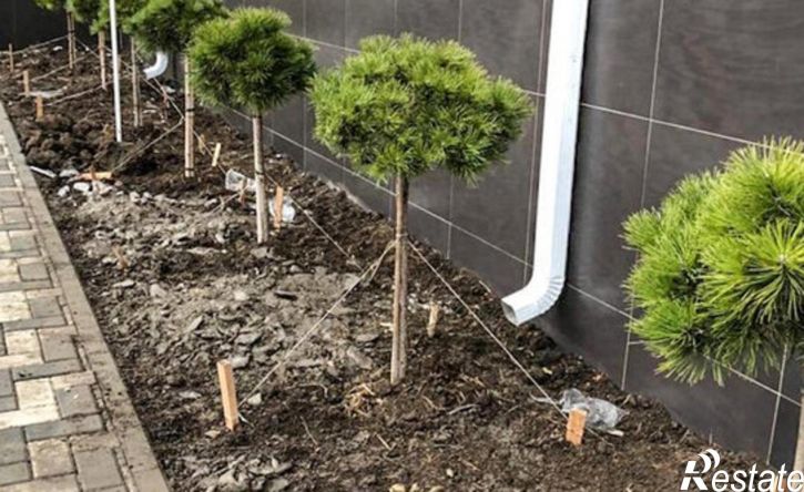 1-комн квартира Доломановский переулок, 124 с1,  д. 124 с1