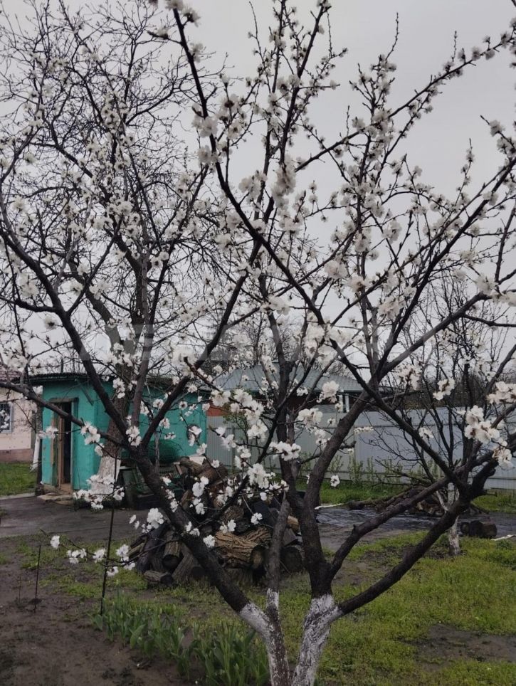 Коттедж/дом Сторожевая улица