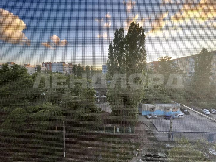 1-комн квартира улица Беляева, 11