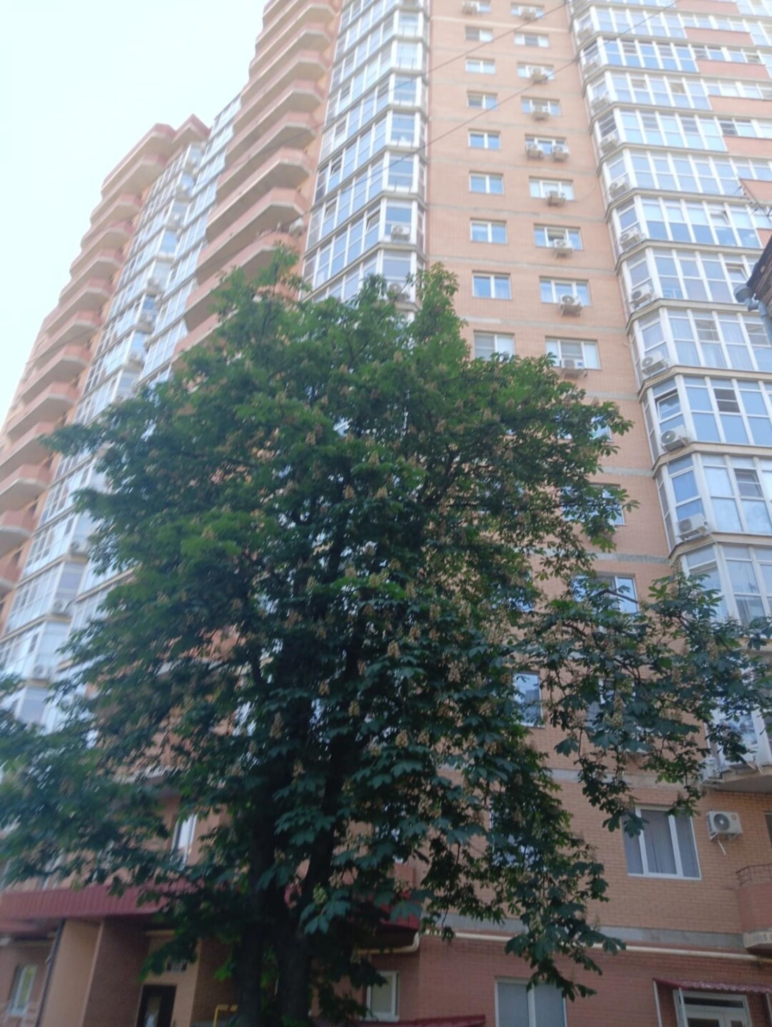 Купить квартиру за 10 400 000 рублей на Селиванова ул., 68
