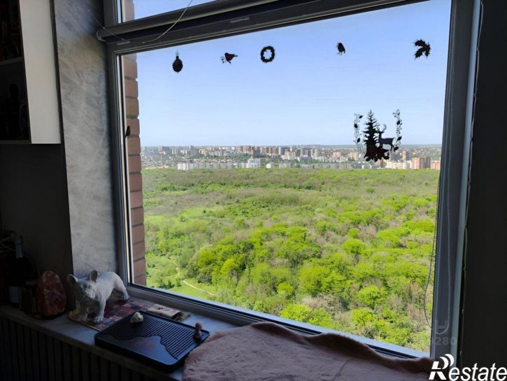 3-комн квартира Днепровский пер, 117,  д. 117