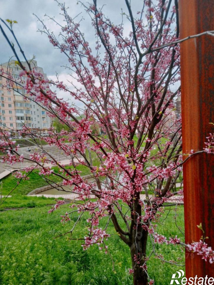 Комната ул Пескова, 17/1,  д. 17/1