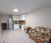 1-комн, 25кв м, этаж 15/18 Дмитрия Петрова ул, 10