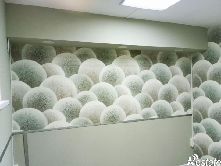 Офис Юрия Дубинина ул, 15