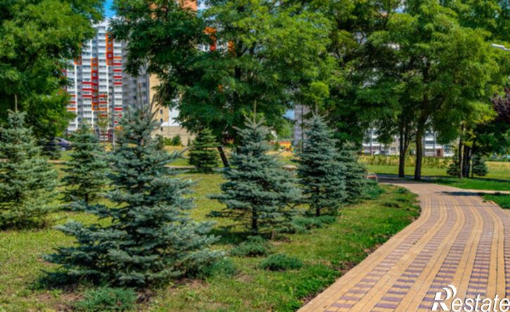 1-комн квартира пер Андреева, 5,  д. 5