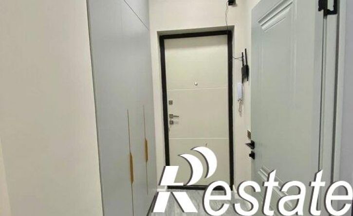 1-комн квартира улица Пацаева, 16/1,  д. 16/1